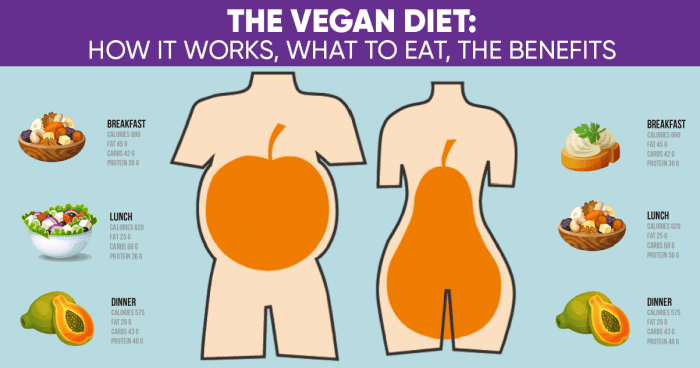 Infographics vegetarian vegan comparing diets customize easel